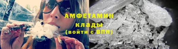 шишки Абаза