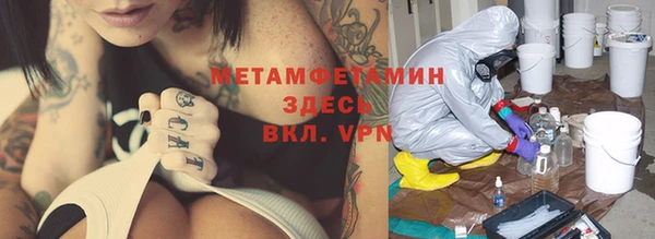 шишки Абаза