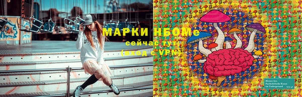 индика Переславль-Залесский