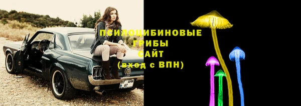 крисы Абинск