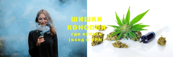 шишки Абаза