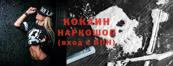 шишки Абаза