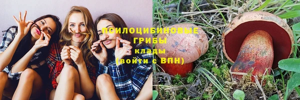 крисы Абинск
